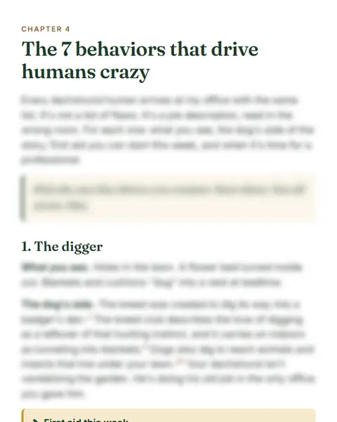 The 7 behaviors, decoded: a page of the Dachshund File, its content hidden until you buy