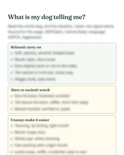 The fridge cheat sheet: a page of the Dachshund File, its content hidden until you buy